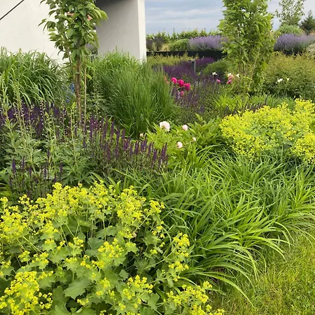 Mazury Piekny Widok Na Jezioro *